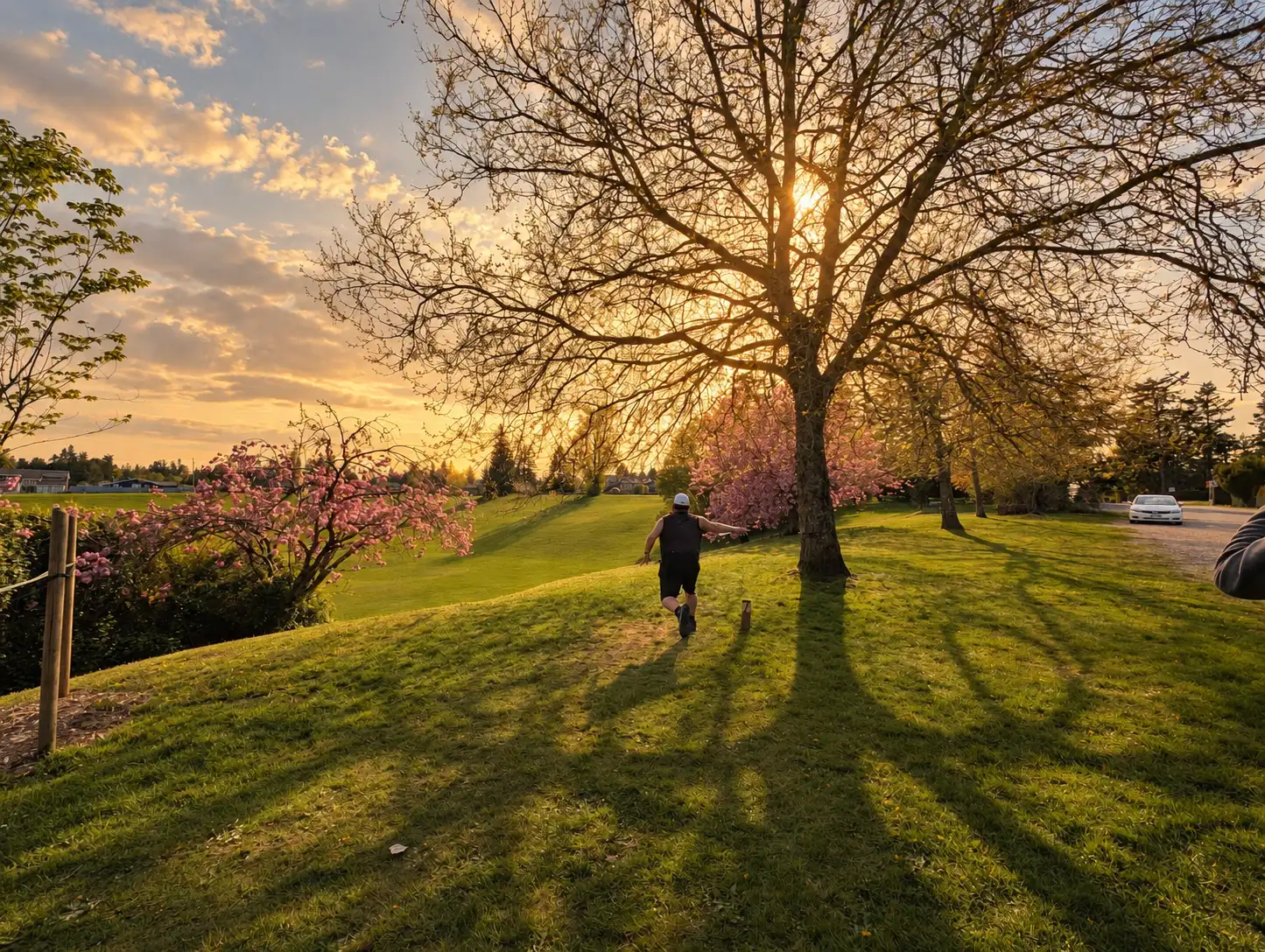 A disc golfer throwing among sunlit trees at Diefenbaker Park