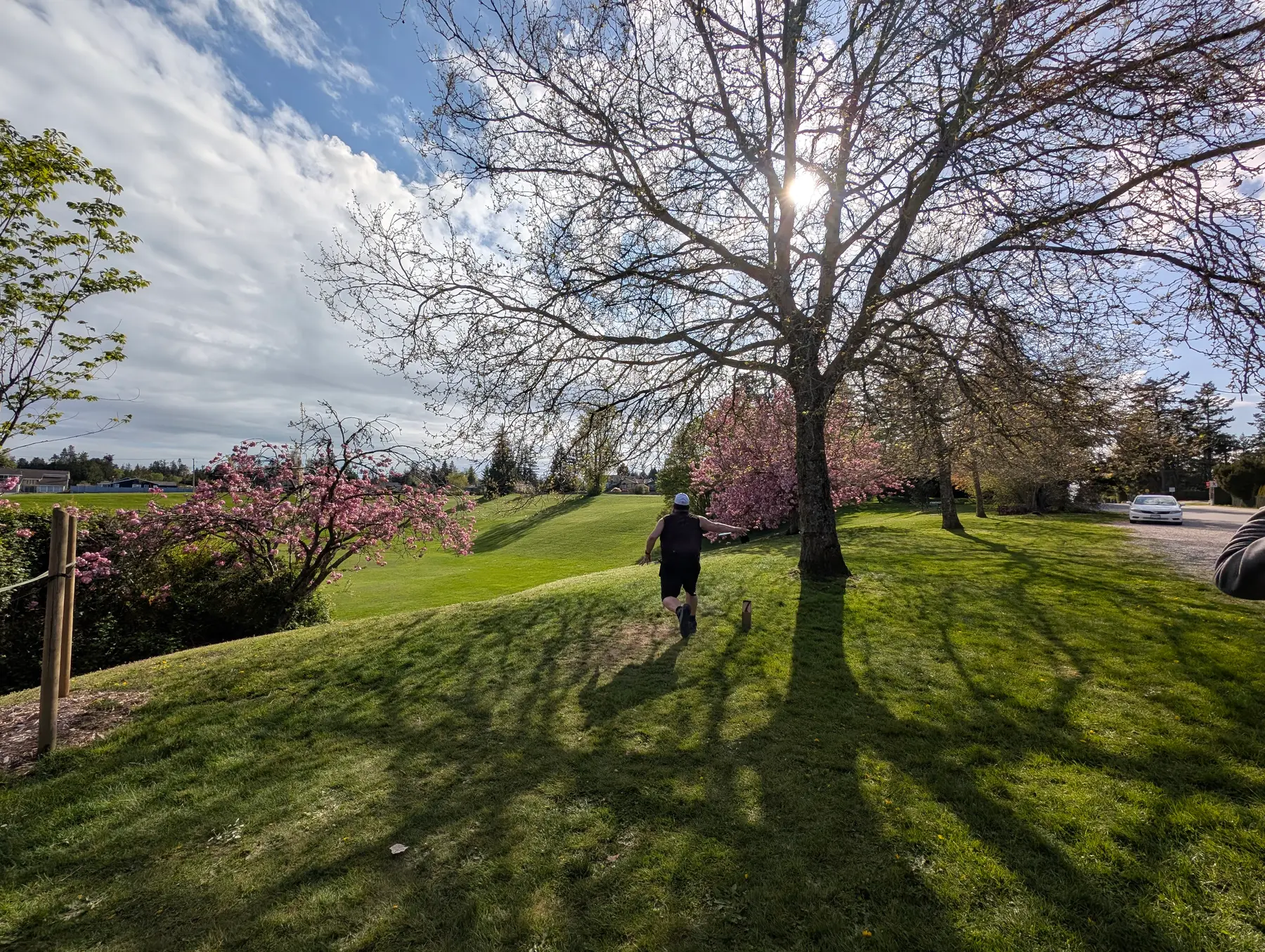 A player beneath a tree at Diefenbaker Park, used here as T-Town archive photography
