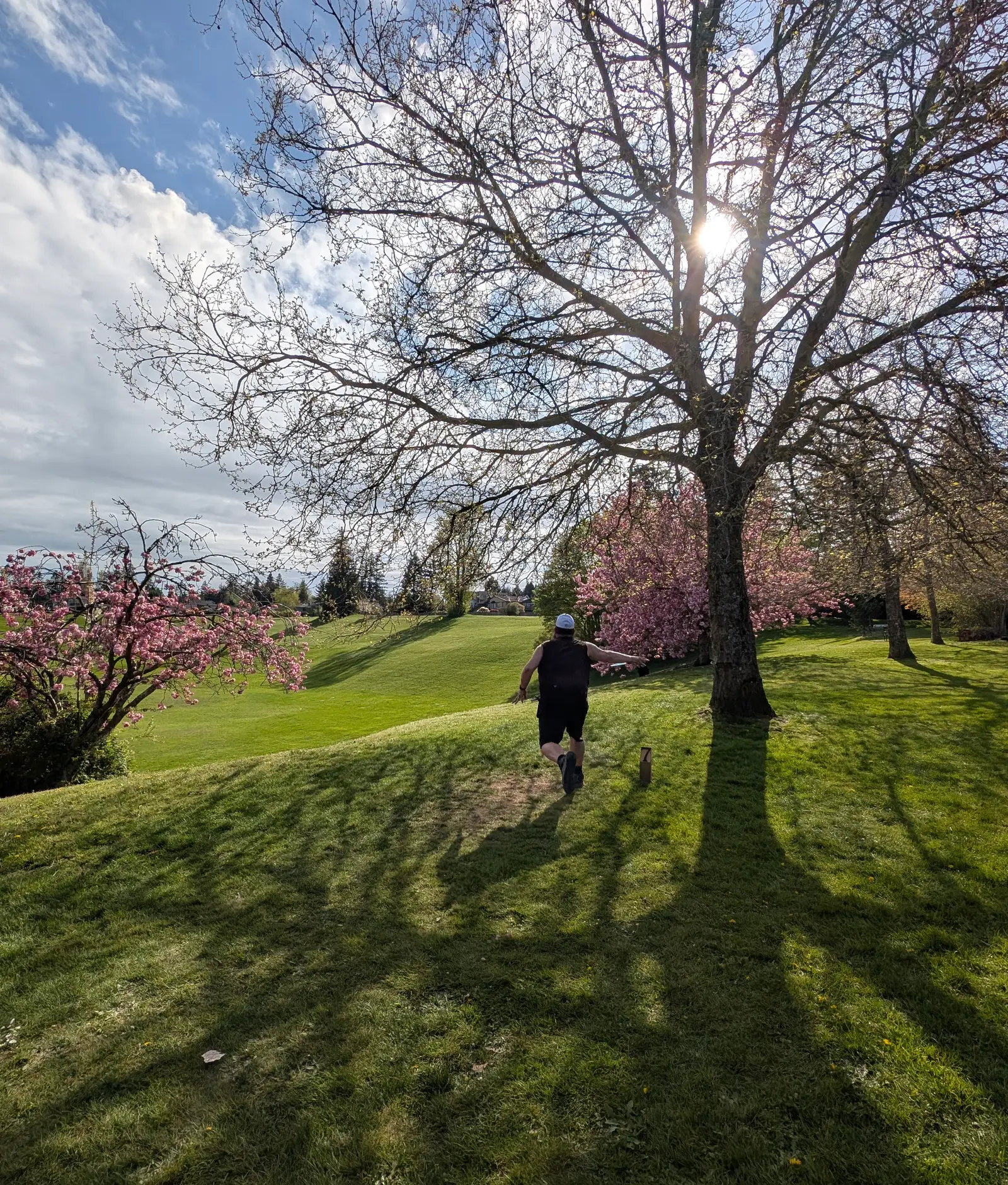 A player beneath a tree at Diefenbaker Park, used here as T-Town archive photography