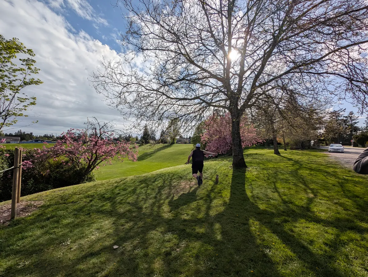A player throwing beneath a tree at Diefenbaker Park