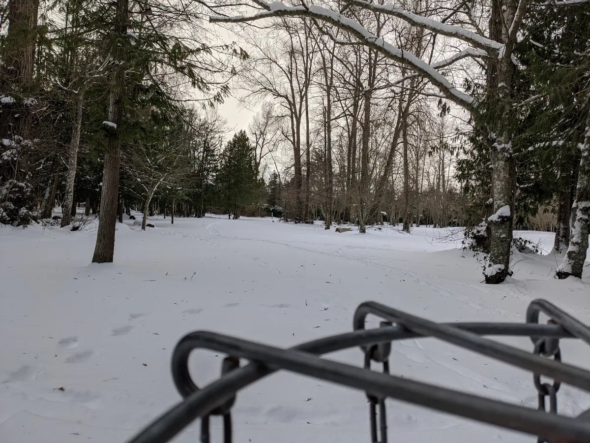 Snow-covered Winskill woodland seen over the metal rim of a disc golf basket